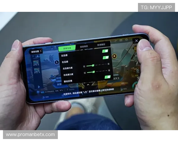 万博平台网页版入口:提升游戏体验的官方入口使用技巧