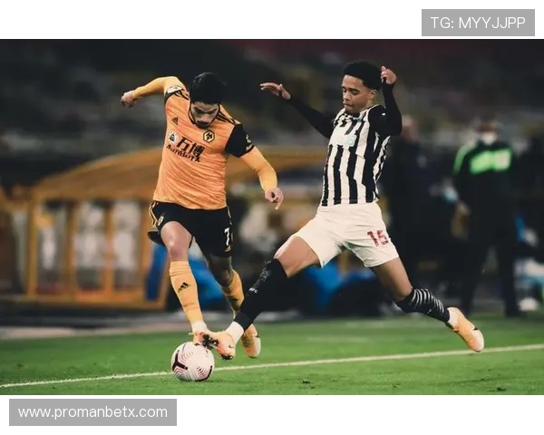 万博狼队在线：实时观看比赛的最佳平台推荐