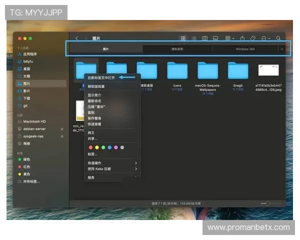 万博笔记电脑版功能介绍与使用技巧，助你提升游戏记录效率