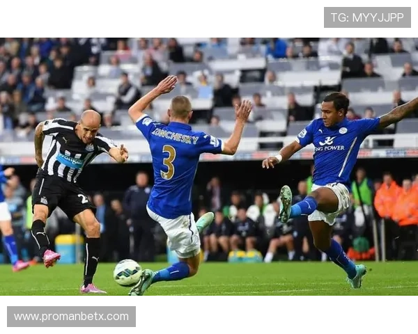 半岛体育官网登录入口网页版登录后如何快速参与赛事与投注