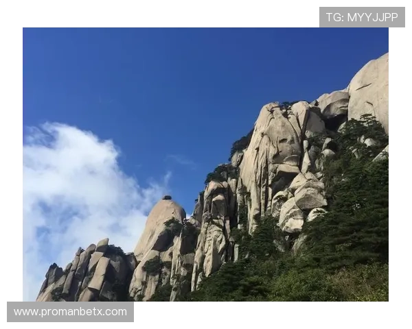 分析万博官网man手机登陆的常见问题与解决方案，确保顺利登录体验