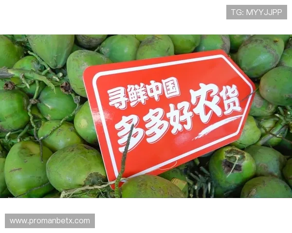 博友体育助力体育迷实时掌握国内外重要比赛动态